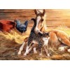 Horse, Cat & Chicken Diamond Painting