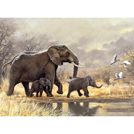 Happy Elephant Family