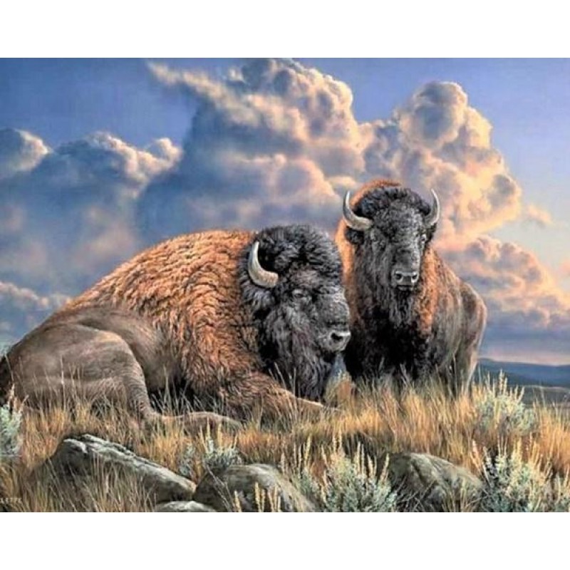 Lone Bison Diamond P...