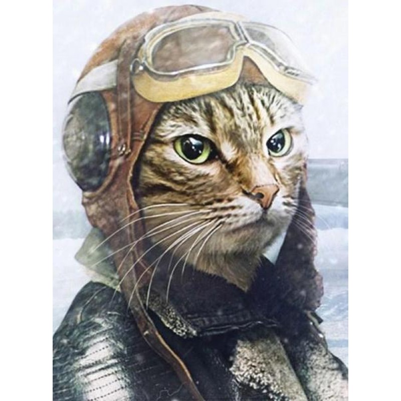 Pilot Cat Diamond Pa...