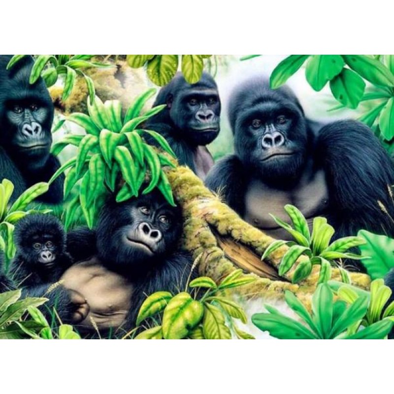 Gorilla Family - Pai...