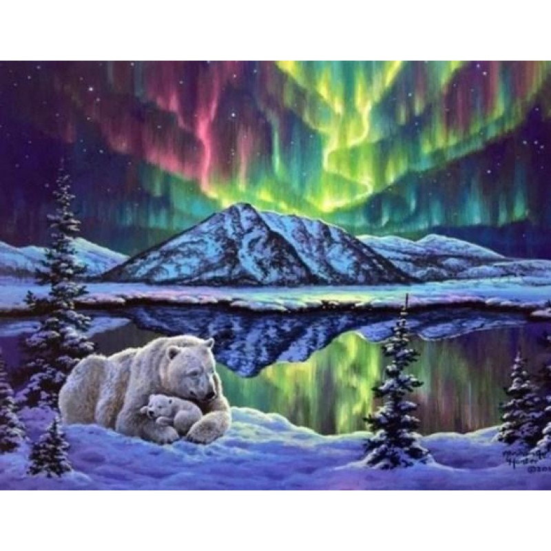 Polar Bears & No...