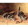 Cats Chasing Rat Painting Kit