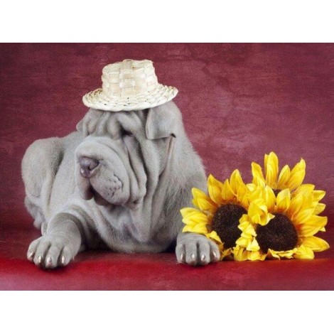 Bulldog & Sunflowers
