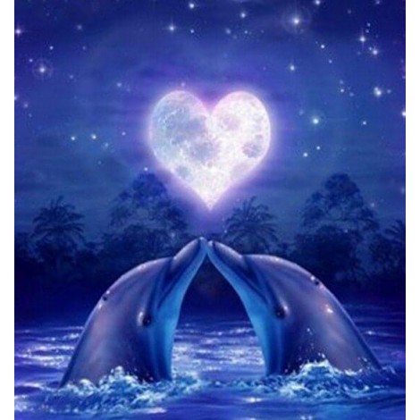 Dolphins Pair in Love