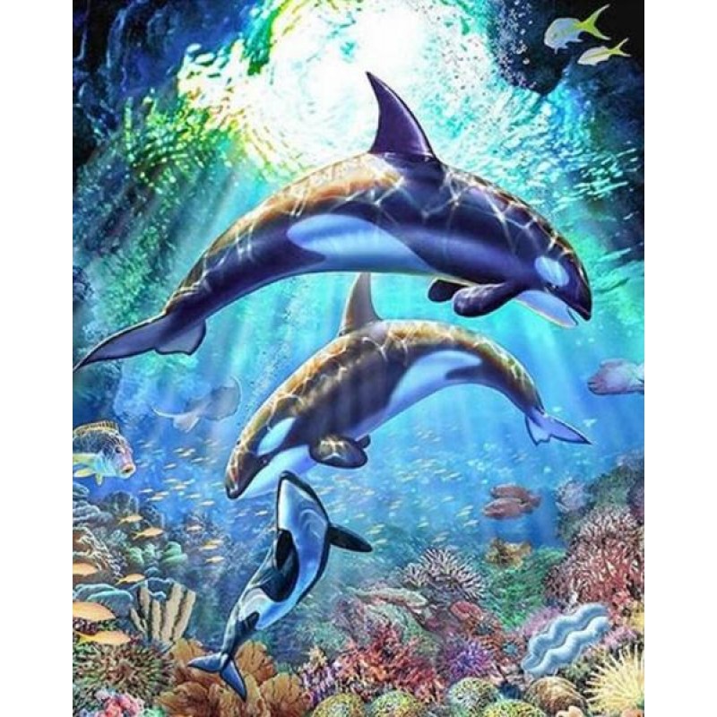 Killer Whales Diamon...