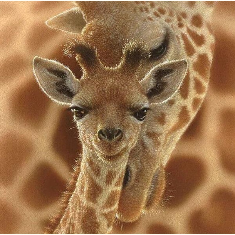 Mother Giraffe with ...