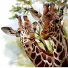 Giraffe Pair Diamond Painting Kit