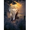 Cute Baby Elephant