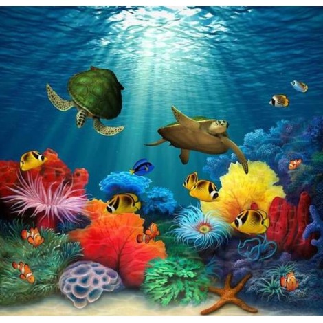 Turtles & Fish in the Water