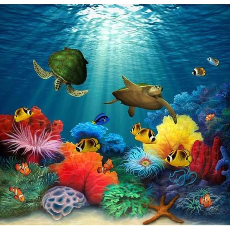 Turtles & Fish i...