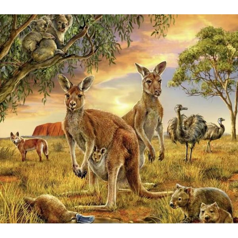 Group of Australian ...