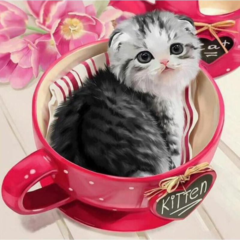 Kitten Sitting in Te...