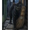 Cat with Broom Diamond Painting