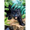 Black Leopard in the Forest