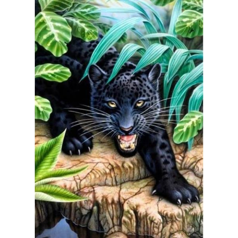 Black Leopard in the...