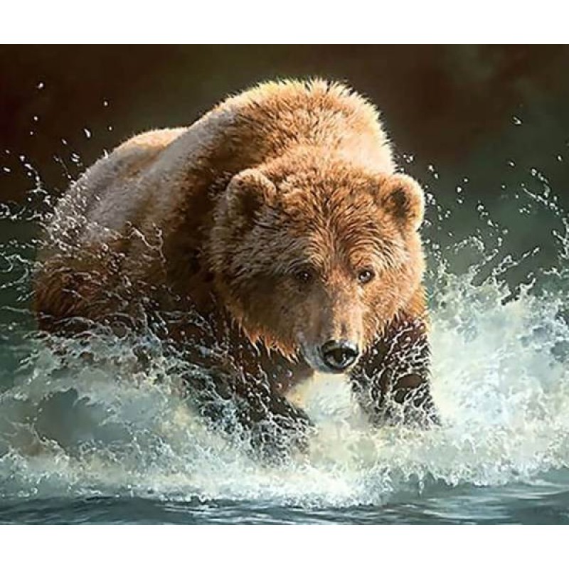 Bear in Water Painti...
