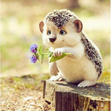 Sweet Hedgehog with Flowers
