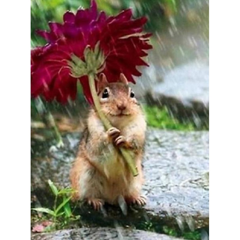 Hamster & Flower...