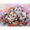 Kittens Basket