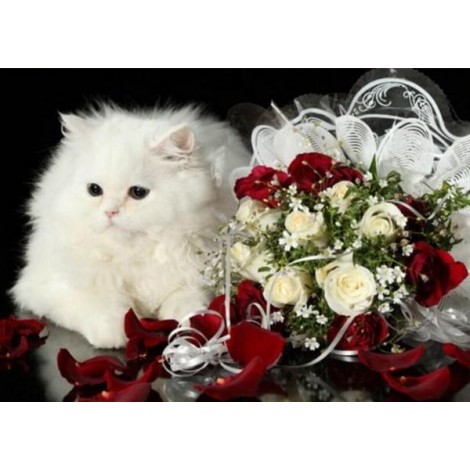 Fluffy White Cat & Flowers