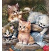 Cats Nest Diamond Painting