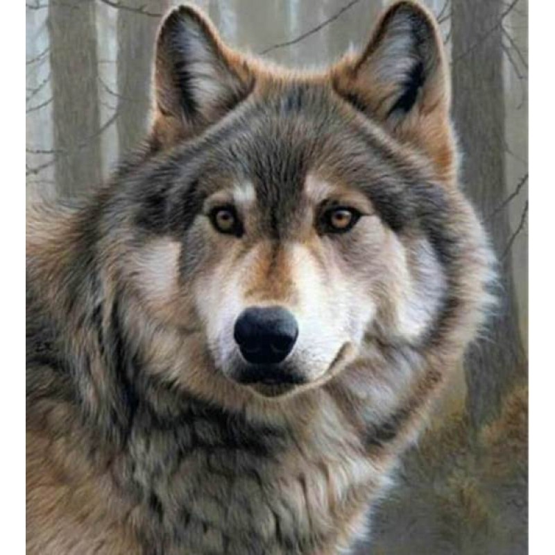 Wolf Stare DIY Paint...