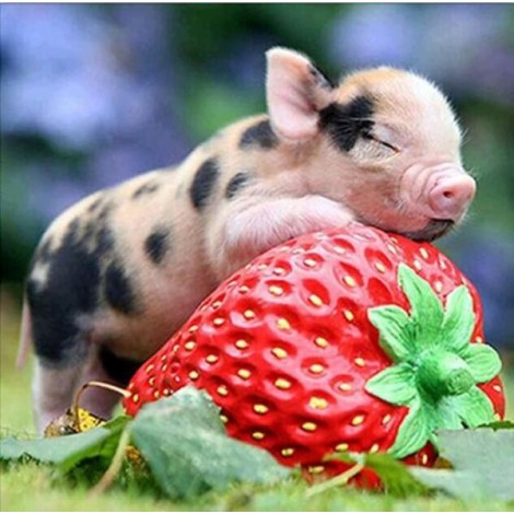 Cute Pig on Strawberry