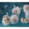 Happy Hedgehog Painting Kit