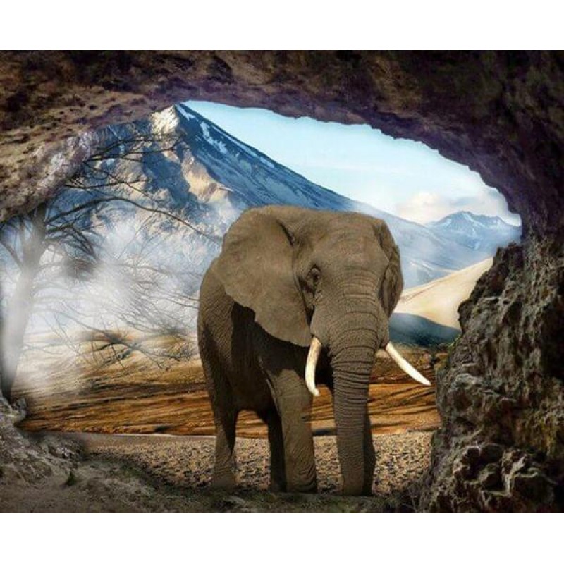 Elephant in the Cave