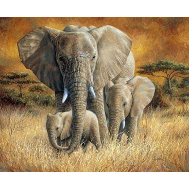 Elephant Family in t...