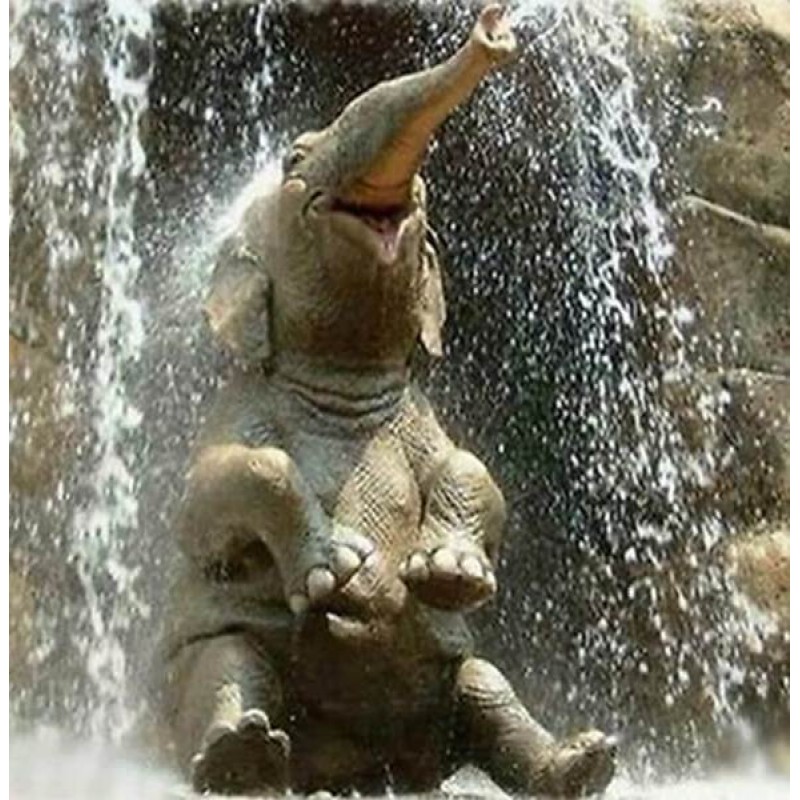 Elephant Baby Playin...