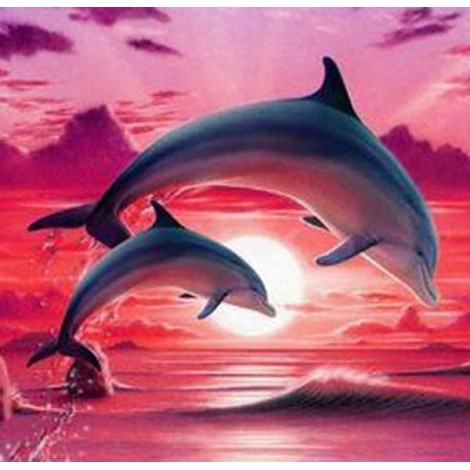 Dolphins Pair Painting Kit
