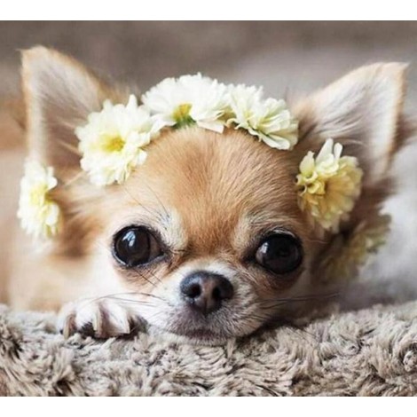 Puppy with Flower Crown