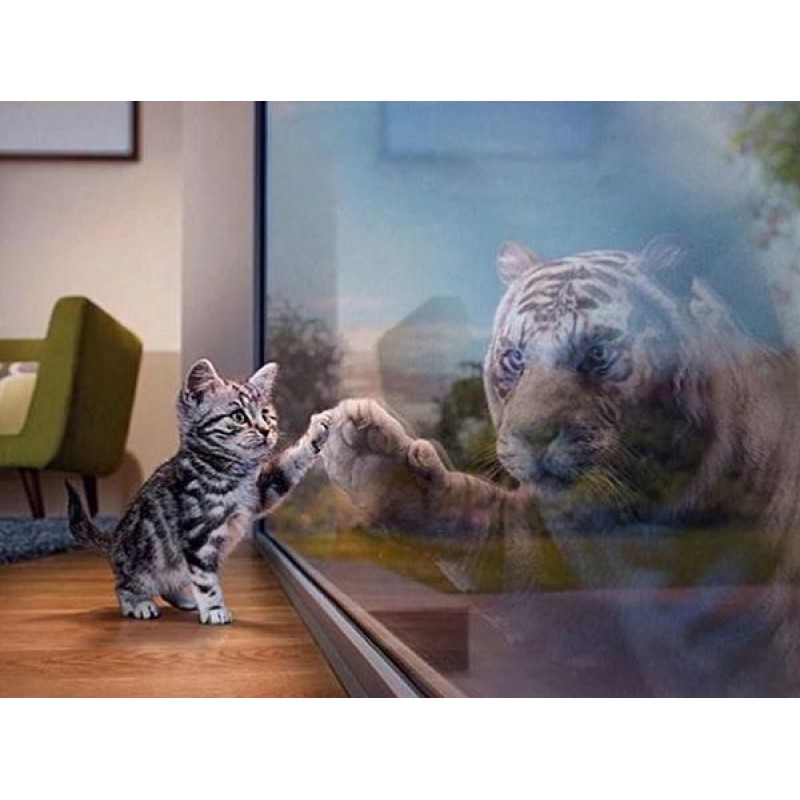 Cat & Tiger Refl...
