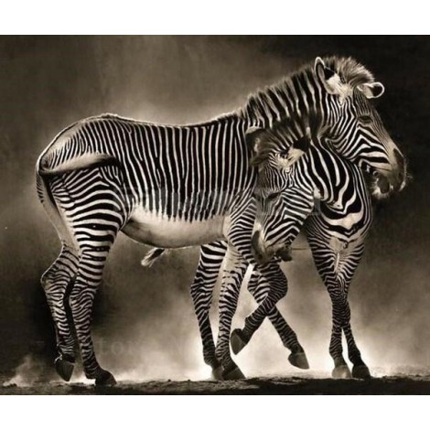 Zebras Hugging Diamond Painting
