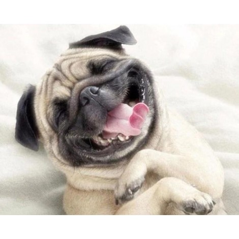 Happy Dog Painting Kit