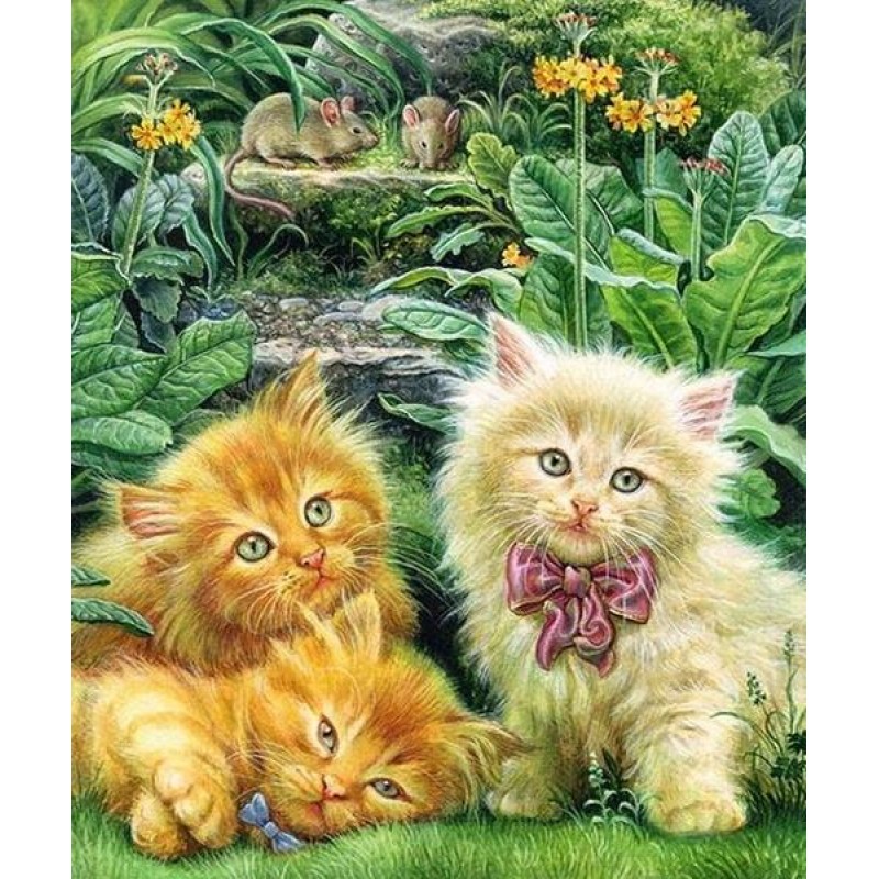 Kittens & Rats P...