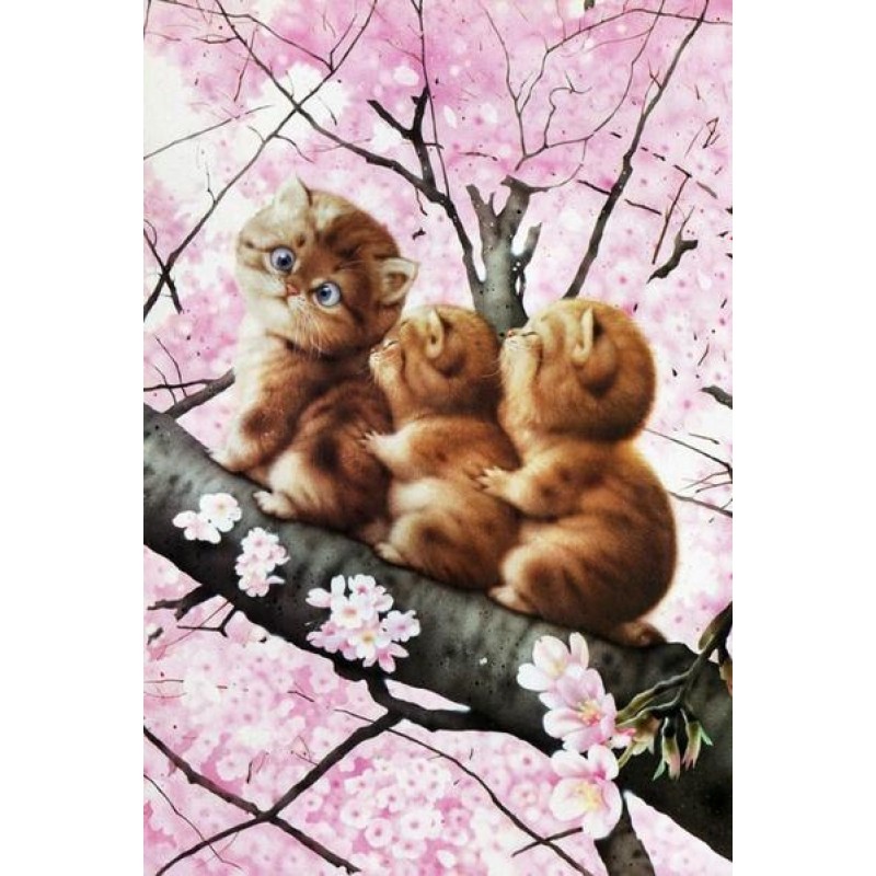Cats on Cherry Tree