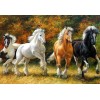 Running Horses Diamond Painting