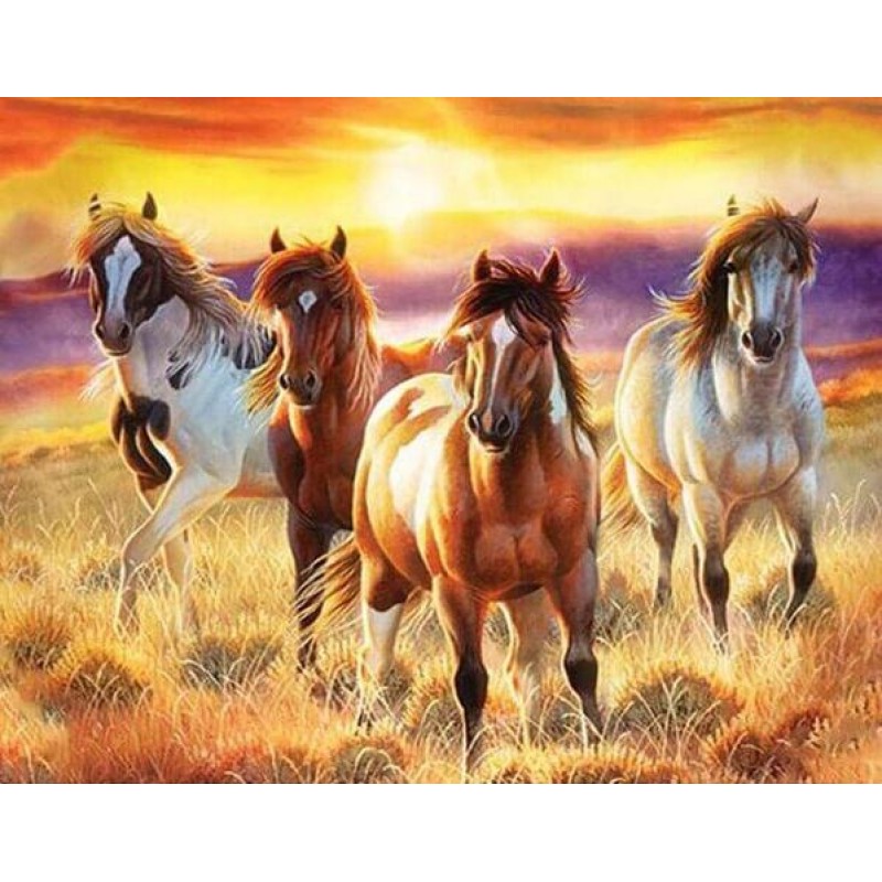 Group of Horses