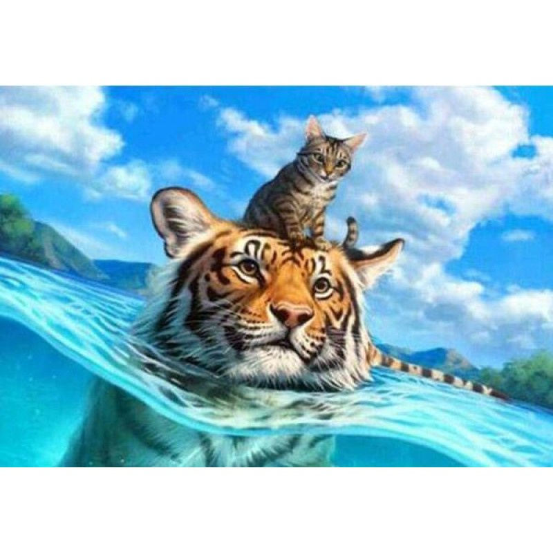 Cat & Tiger Swim...