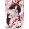 Cat in Cherry Blossom