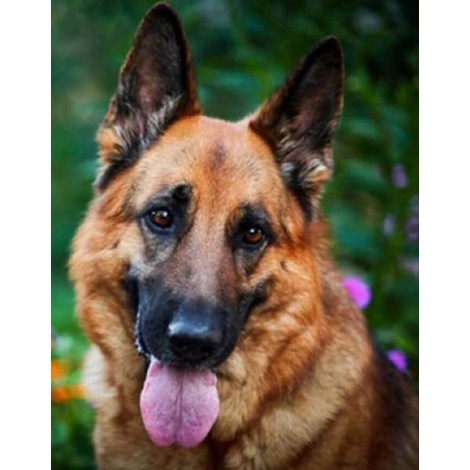 German Shepherd Painting Kit
