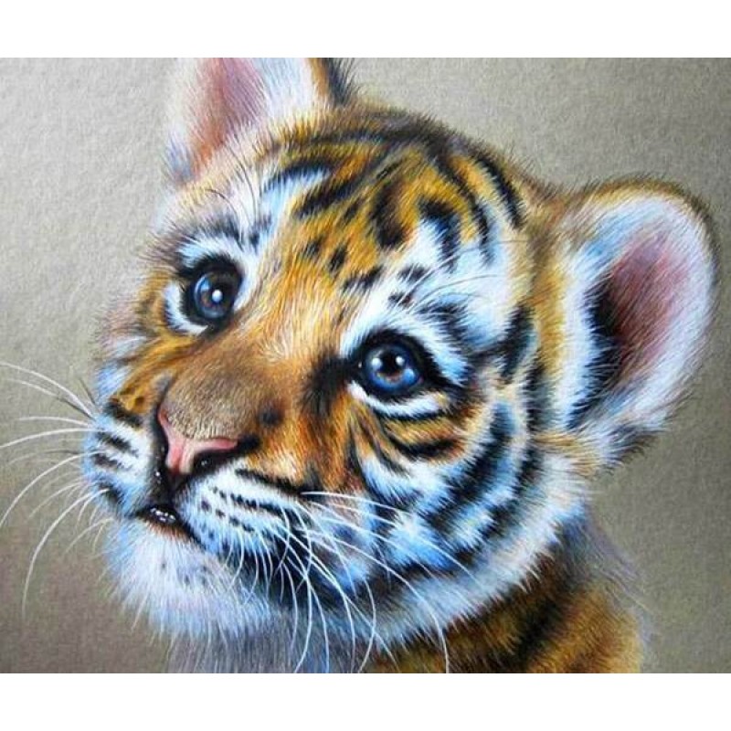 Tiger Cub Painting K...