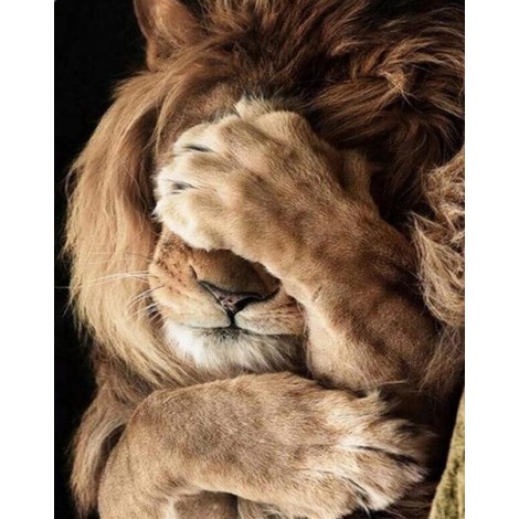 Shy Lion Diamond Painting