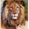 Lion Painting Kit
