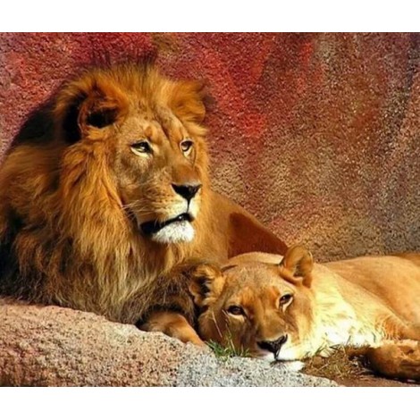 Lion & Lioness Painting Kit