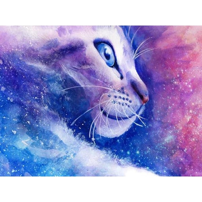 Cat Fantasy