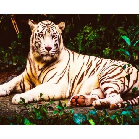 White Beast